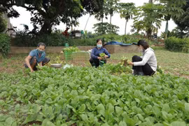 河内市全力帮助农户恢复生产