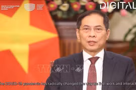 越南出席有关数字化外交的国会会议