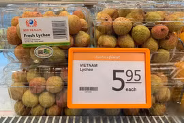 越南荔枝在新加坡FairPrice连锁超市上架