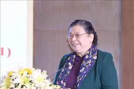 国会常务副主席丛氏放：国会对外活动是党和国家对外活动的重要组成部分