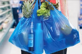 河内市应立即防止塑料废物重新增加现象