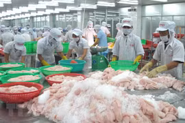 前江省充分利用自贸协定促进出口增长