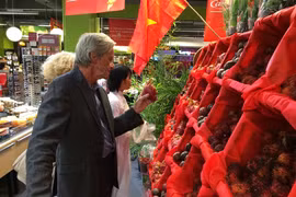 越南对法国市场的出口潜力仍巨大