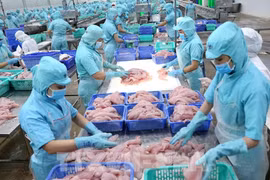 IUU“黄牌”警告对越南渔业造成影响报告亮相