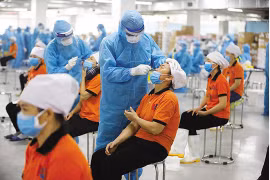 企业保安全促复苏稳增长