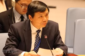 越南与联合国安理会：越南谴责索马里暴力事件