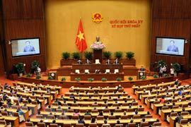 越日两国分享提升国会运行效率的宝贵经验