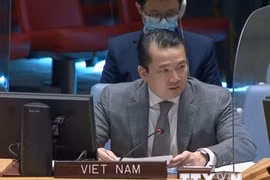 越南与联合国安理会：越南建议进行核查解除对南苏丹的制裁