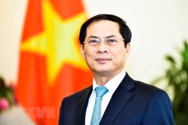 充分发挥外交服务于国家发展事业、助力实现民富国强民主公正文明目标的作用