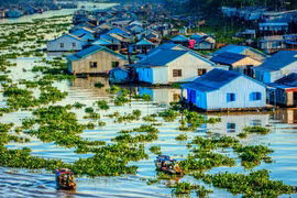 推动九龙江三角洲地区环境保护与气候变化数据库建设