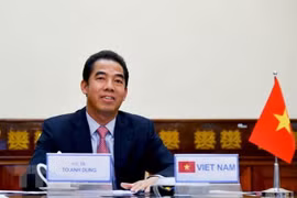 越南在疫情中做好领事保护工作
