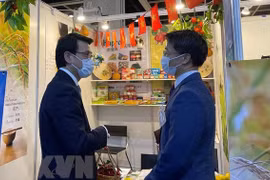 后疫情时期越南与中国香港合作潜力巨大