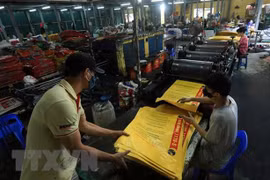 泰国SCGP公司加大对越南包装领域的投资力度