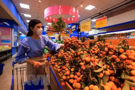 新加坡——越南荔枝产品的潜在出口市场
