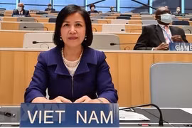 越南代表参加联合国人权理事会第46届会议并发表讲话