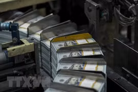 5月20日上午越盾对美元汇率中间价下调3越盾