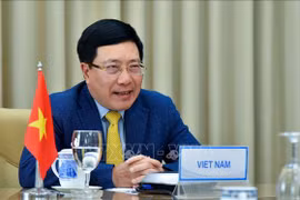 越南政府副总理兼外长范平明与委内瑞拉外长豪尔赫·阿雷亚萨举行视频会谈