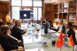 越南与德国推进可再生能源领域的合作