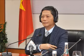越美贸易：努力走向可持续发展之路