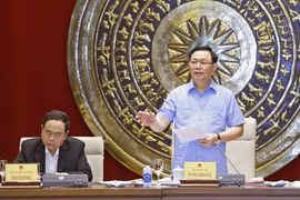 民族委员会对山区和少数民族地区政策颁布工作做出积极贡献