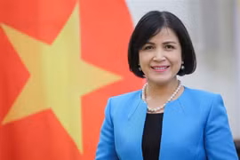  越南驻日内瓦代表团纪念国际妇女节111周年和双征夫人起义1981周年 