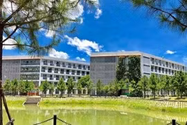 建设智慧城市以应对新冠疫情