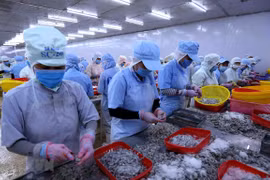 尽管疫情围攻 越南水产品出口仍迎来许多机会