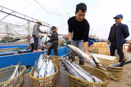 印尼希望与越南加强水产养殖领域的合作