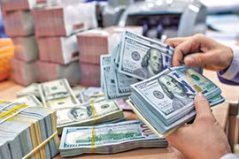 疫情之下胡志明市接收的侨汇金额仍然激增