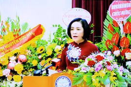 阮氏清女士当选越柬友好协会主席