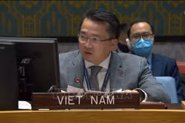 越南与联合国安理会：越南呼吁为苏丹获得国际金融资源提供便利