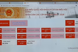 国会与人民议会代表选举：胡志明市试运行支持换届选举工作的软件