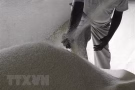 孟加拉国通过有关进口越印泰三国大米的提议