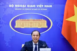  越南外交部副部长阮国勇与德国联邦外交部国务部长举行会谈