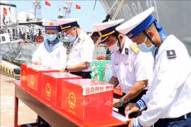 国会和人民议会代表选举：12个省市提前举行国会代表和议会代表选举
