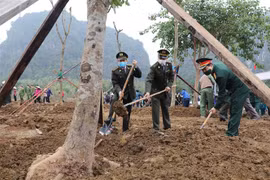 全国各省纷纷响应2021年春季植树节活动