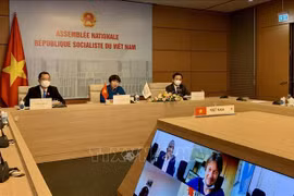 越南国会代表团出席法语国家议会大会议会事务委员会会议