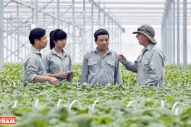 VinEco高科技菜园