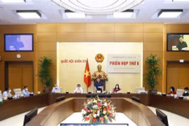 国家选举委员会第八次会议：通过确认499名第十五届国会代表资格的决议