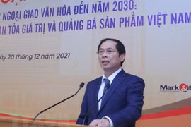 落实2030年文化外交战略：主动适应和传播价值和推广越南产品