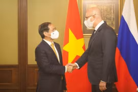 越南外交部长裴青山会见俄罗斯副总理车尔尼申科