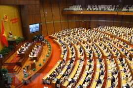 第十五届国会第二次会议：会议第一天 提请国会许多重要内容