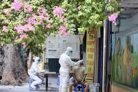 10月9日越南新增4513例新冠病例 105例死亡病例