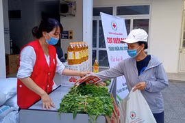 越南红十字会呼吁为困难群众防疫提供援助