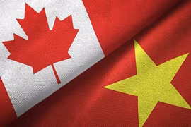 越南与加拿大双边防务磋商会以视频形式在河内举行