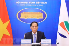 越南外交部长裴青山出席湄公河流域五国与韩国合作部长级第11次会议