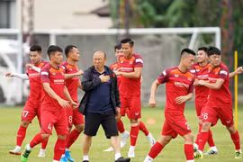 越南男足完成第二针剂疫苗接种 准备前往阿联酋