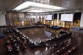 越南国会代表团出席APPF-29文件草案在线讨论会