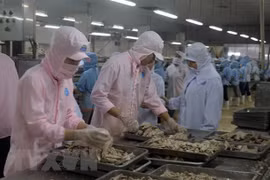 越美努力促进贸易平衡 实现互利共赢