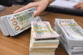 10月18日上午越盾对美元汇率中间价较为稳定